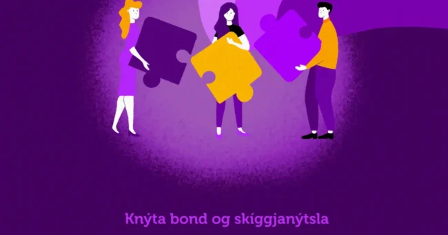 Knýta bond og skíggjanýtsla